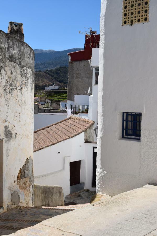 Centro De Arte Daire Yunquera Dış mekan fotoğraf